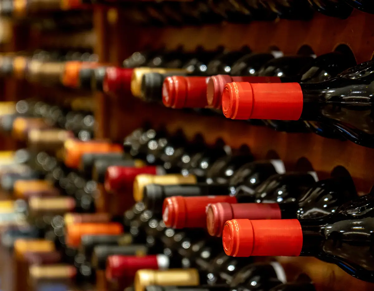 vinos chilenos  premiumen mexico