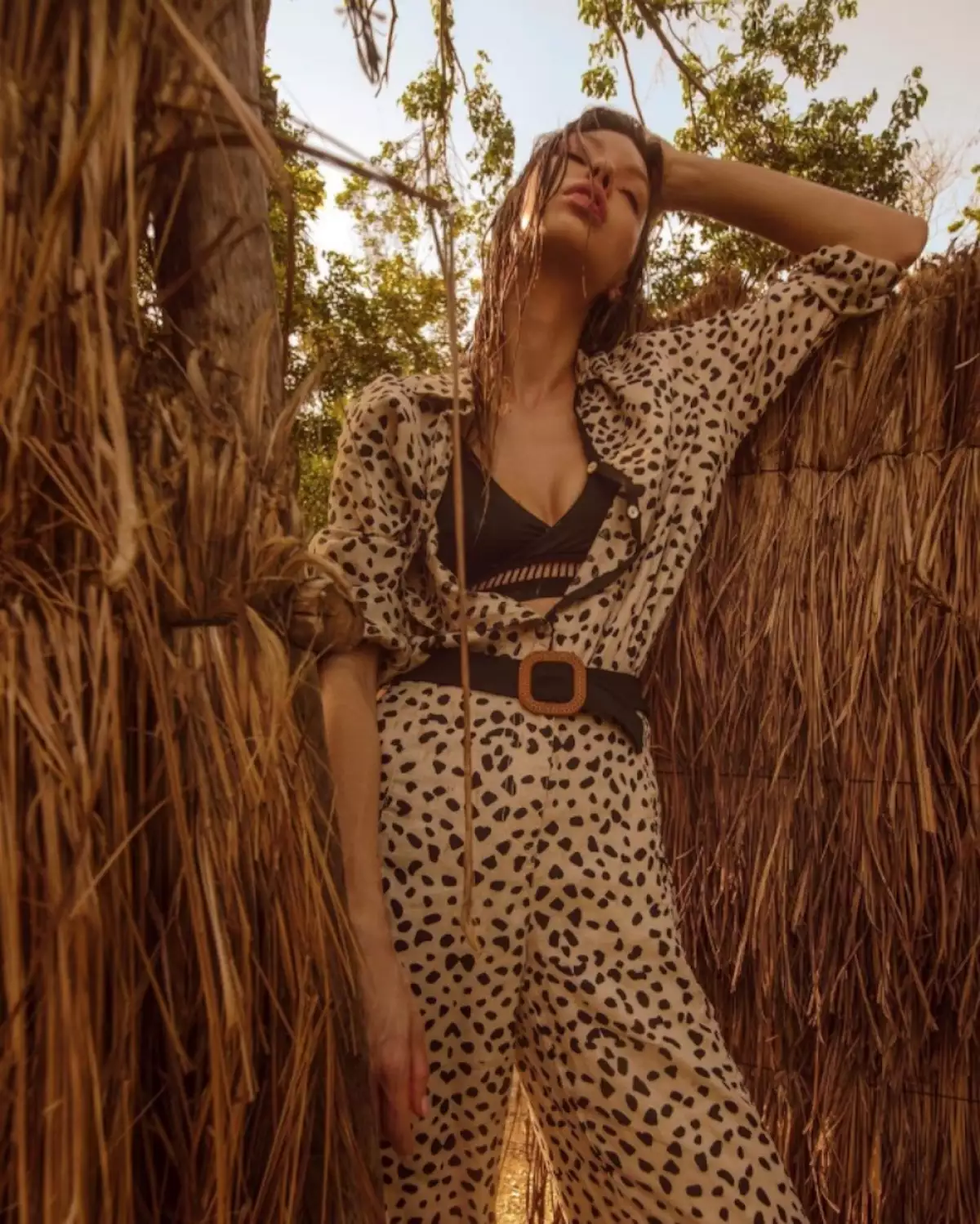 Zingara