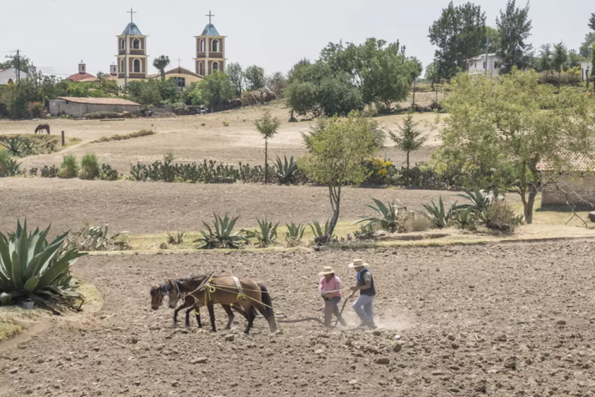 Pequeños productores rurales