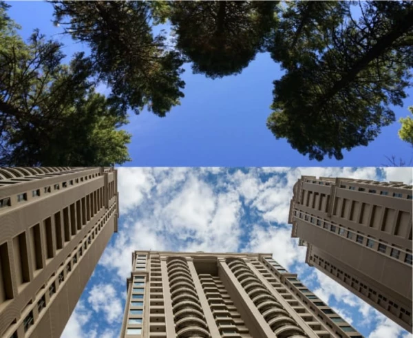 edificio.jpg