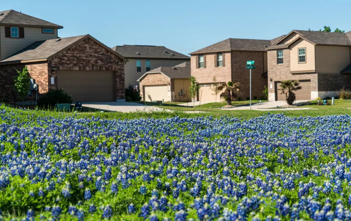 Viviendas en Texas, Estados Unidos
