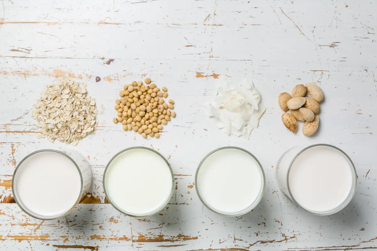 Alternativas a la leche. 