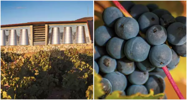 ruta-rio-vino