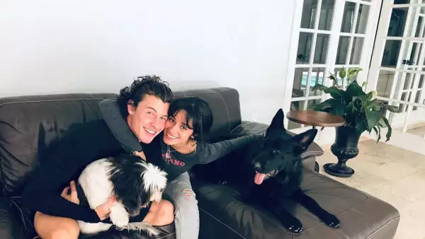 Shawn Mendes y Camila Cabello