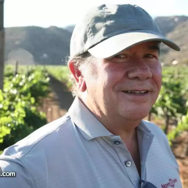 Vendimia Monte Xanic