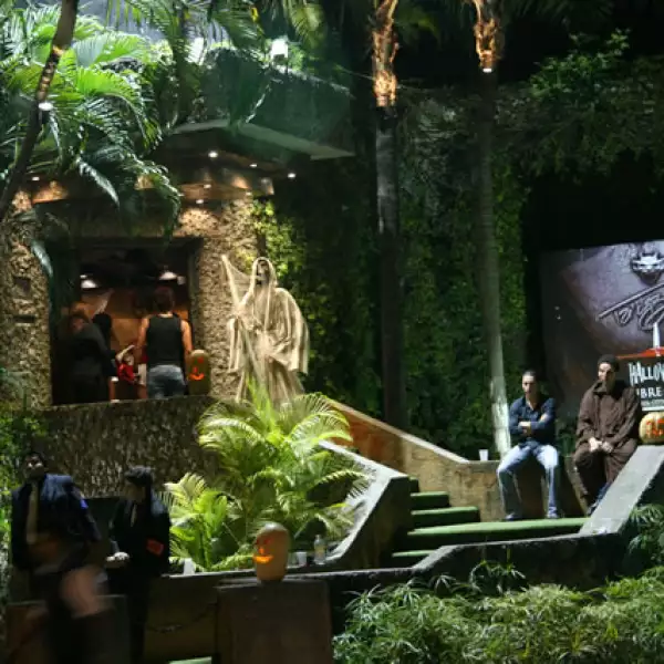 Fiesta de Haloween Taizz.