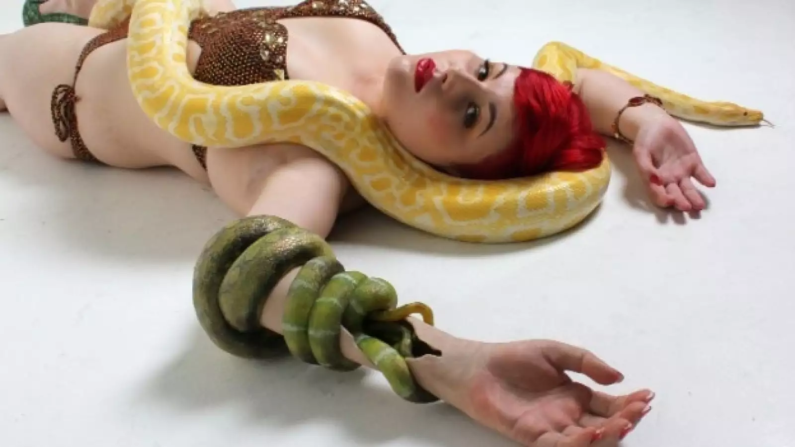 alternative-limb-project-01