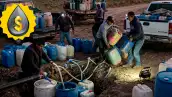 El huachiol repunta este año con más de 2,500 tomas clandestinas