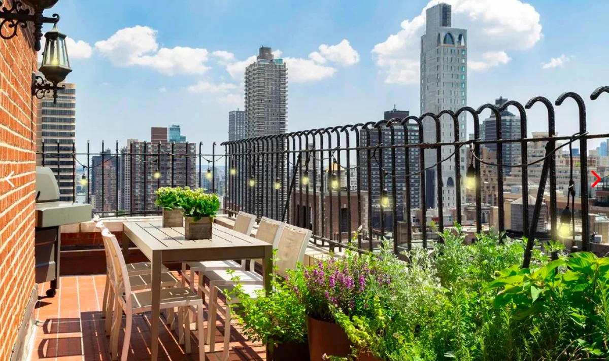 sotheby's-nuevayork-terraza4