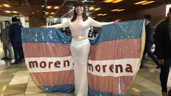 Diputada de Morena.jpeg