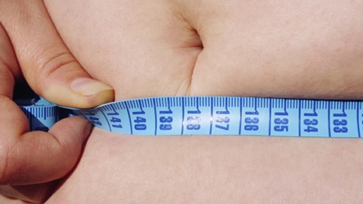 obese gordo