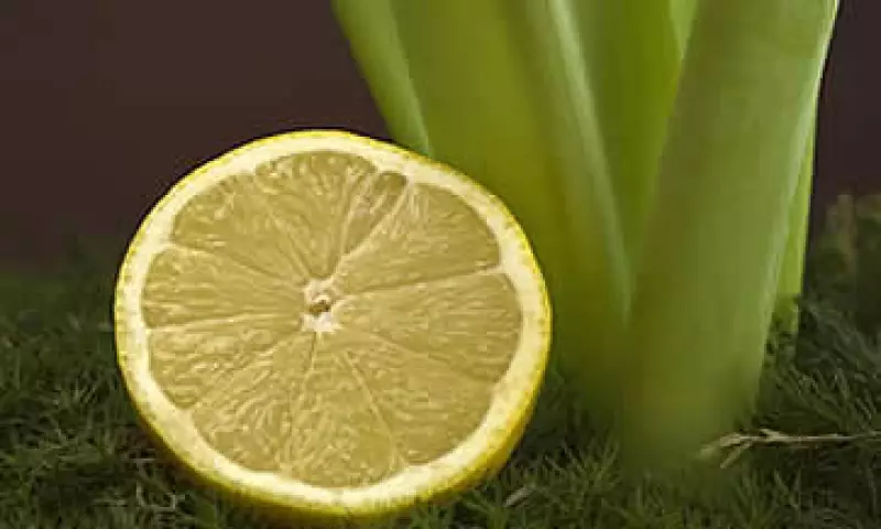 La Profeco dijo que realiza verificaciones a nivel nacional a los establecimientos donde se vende limón para prevenir abusos en el precio. (Foto: Photos to go)