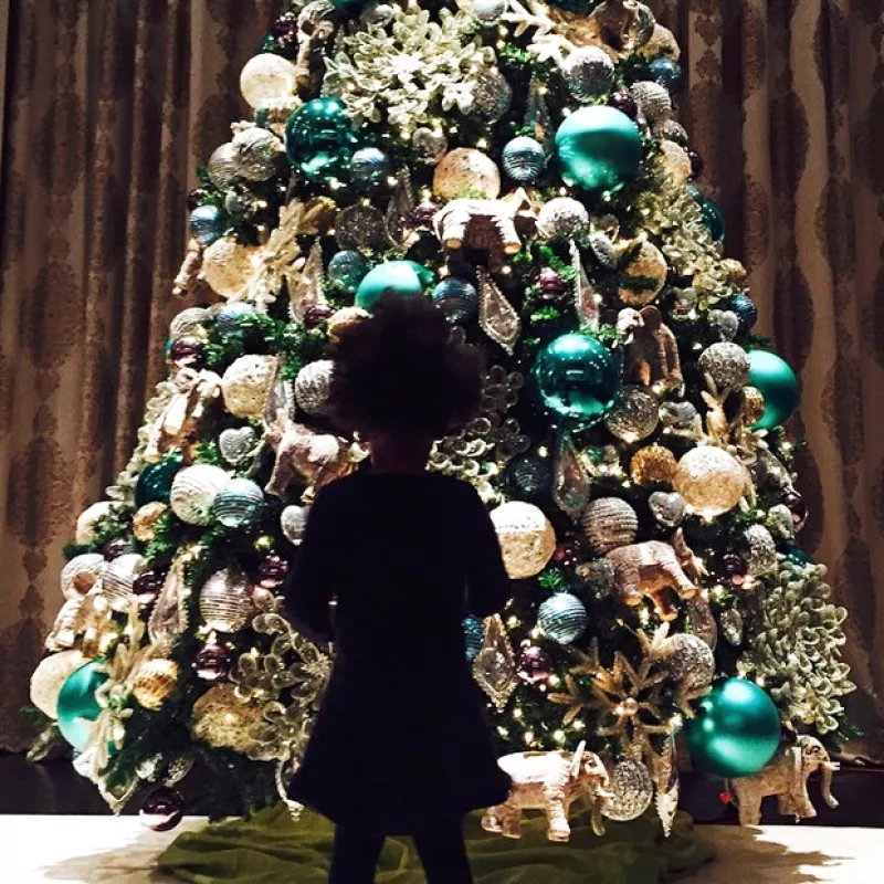 La tapatía presumió en su cuenta de Instagram que ella y sus hijas Jacky y Carolina, ya colocaron su árbol de navidad para recibir la emocionante temporada de fiestas decembrinas.