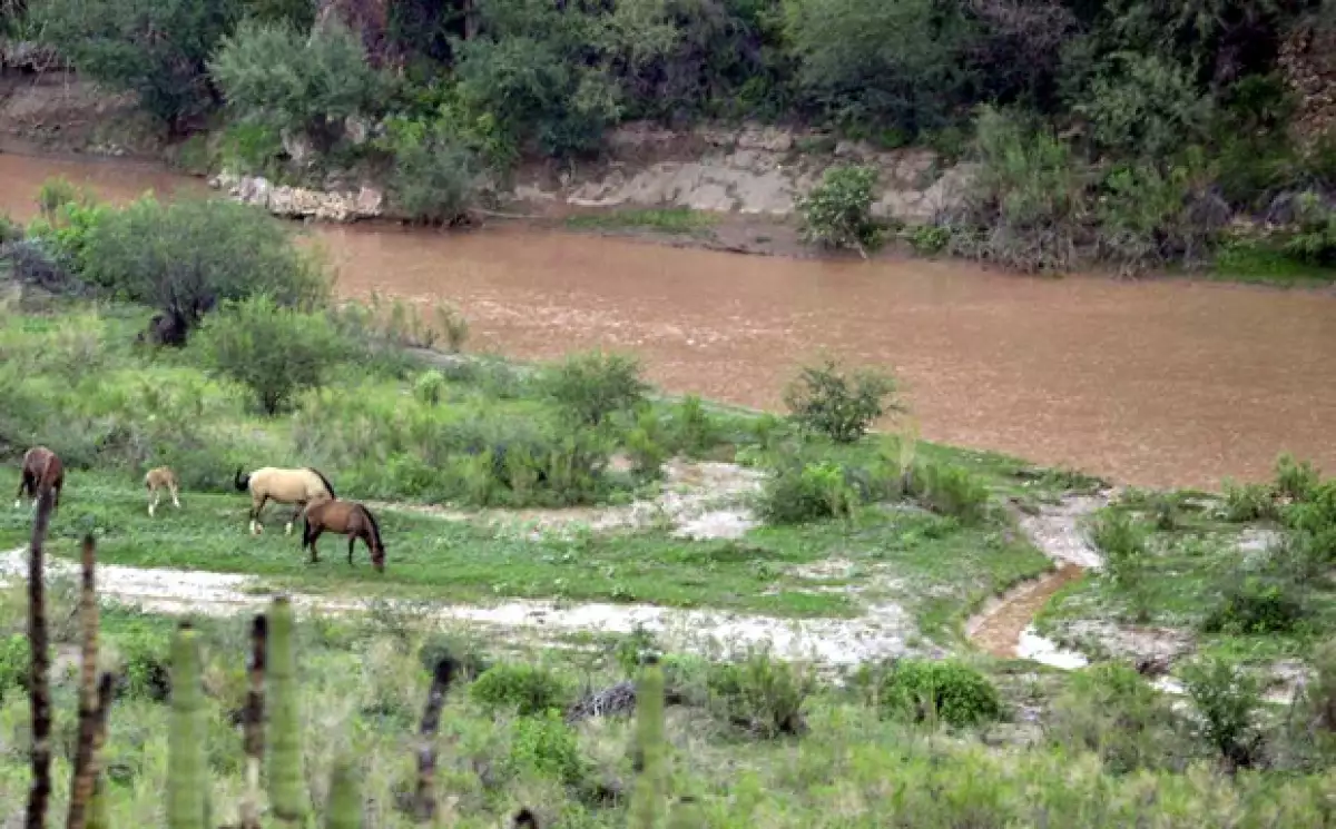 Grupo México aportó 2,000 millones de pesos para reparar los daños y evitar perder la concesión. (Foto: Cuartoscuro)