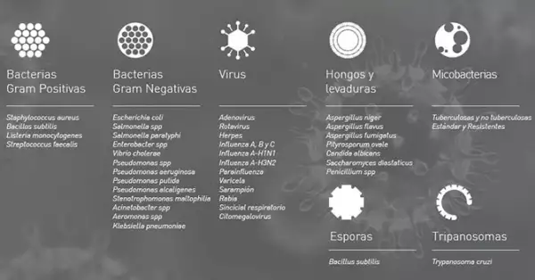 Nanotecnología, arma contra los microorganismos