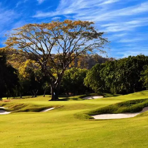 Las Parotas Club de Golf  14