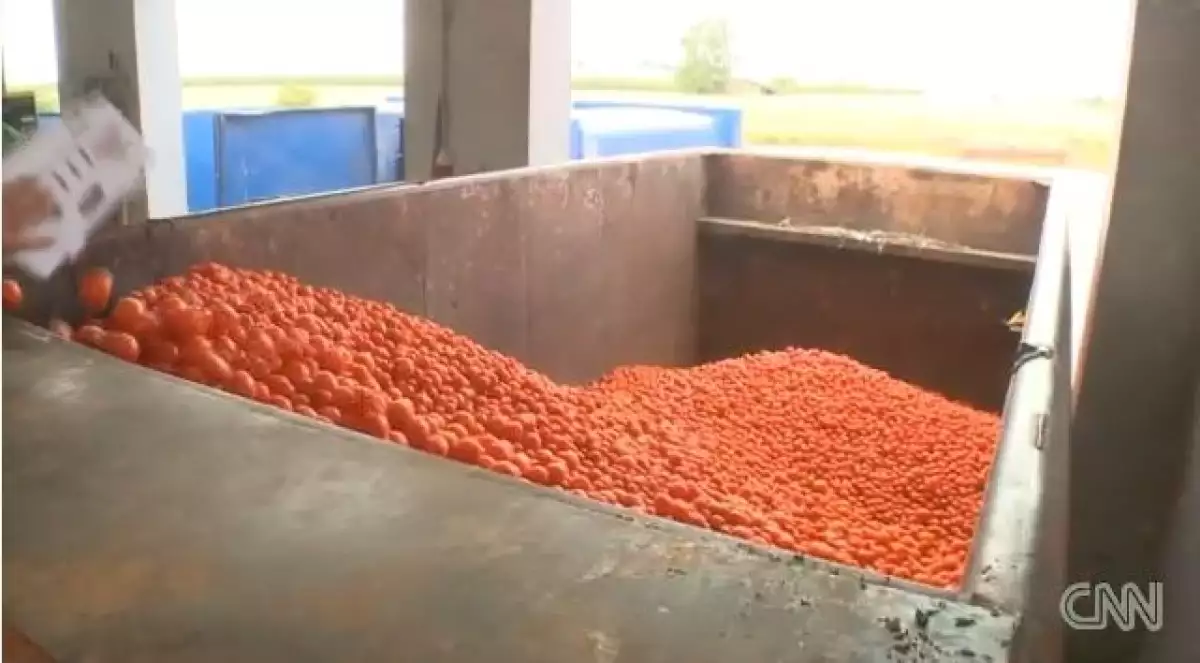 Tomates