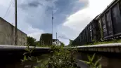 tren maya