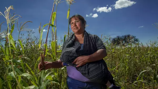 ¿Cómo consultar el saldo de tu tarjeta Mujeres con Bienestar?