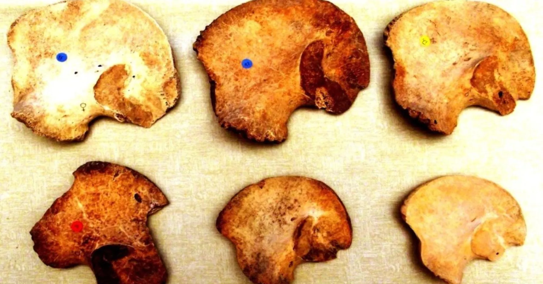 sacrificios-gemelos-chichen-itza.jpg