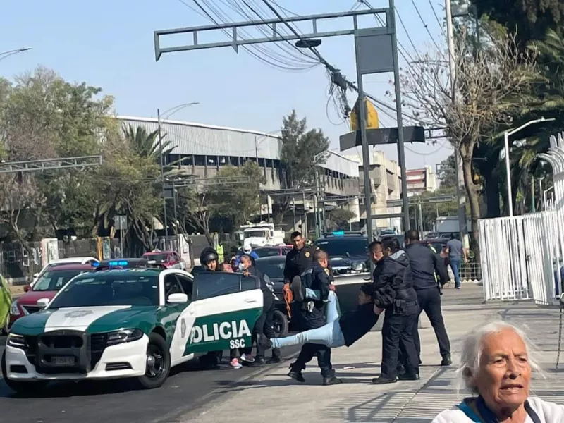 Diputada Margarita García 