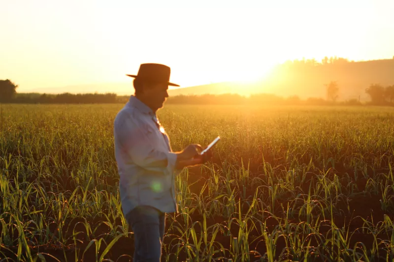 Latinoamerica-Guerra-ucrania