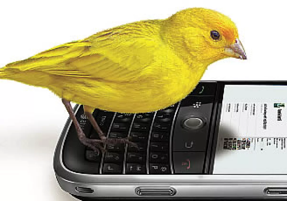 Twitter viene de tweet, que en inglés significa, literalmente, ‘piar’. (Foto: Especial)