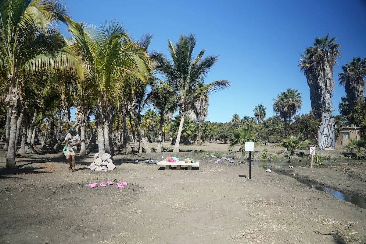 El Patio_Elvira Smeke.jpg