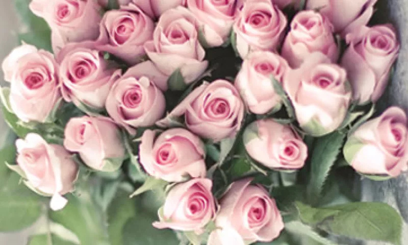 Además de flores, UPS transportará langostas frescas y dulces para los enamorados estadounidenses.  (Foto: Getty Images)