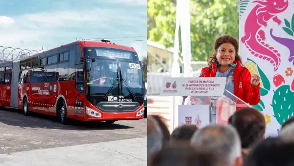 brugada metrobus.jpg