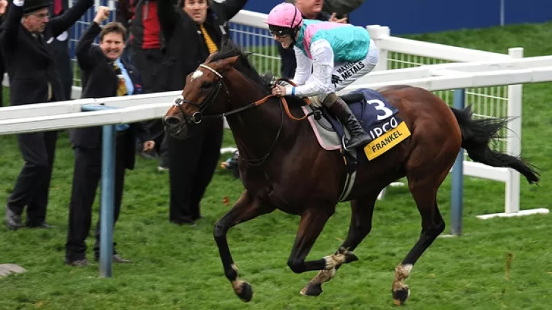 frankel caballo al galope
