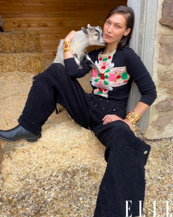 bella-hadid-elle-us-gigi-hadid.jpg