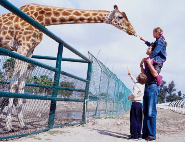 El veterinario le dijo a la revista Quién que en 2006 tenía en el zoológico cerca de 54 especies de mamíferos.