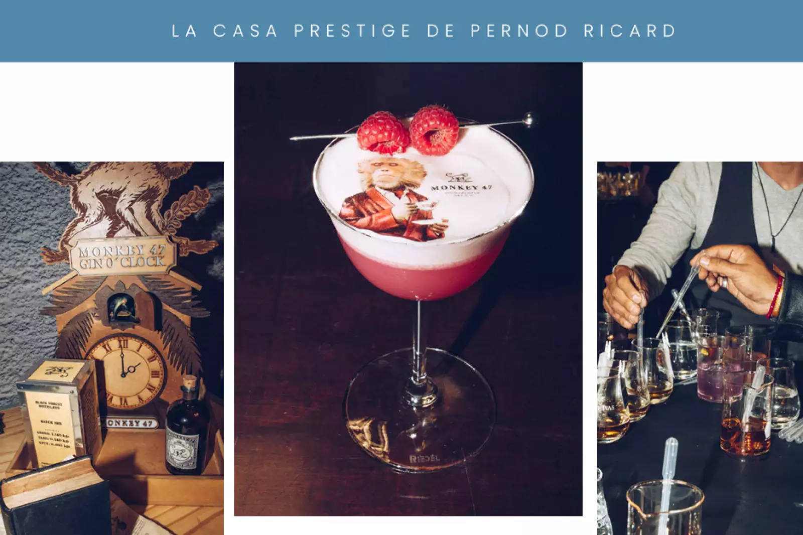 novedades-semana-l&f