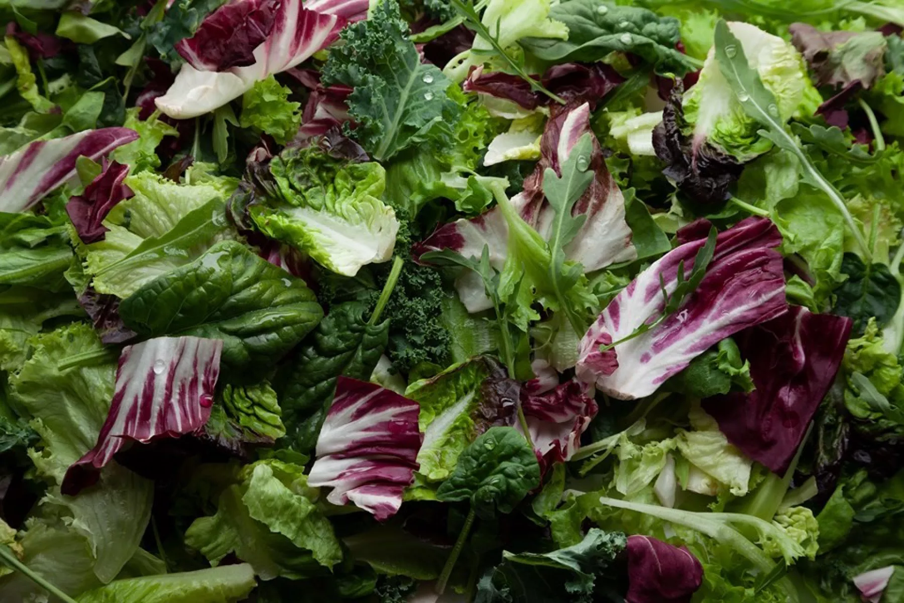 Ensalada Lista para comer