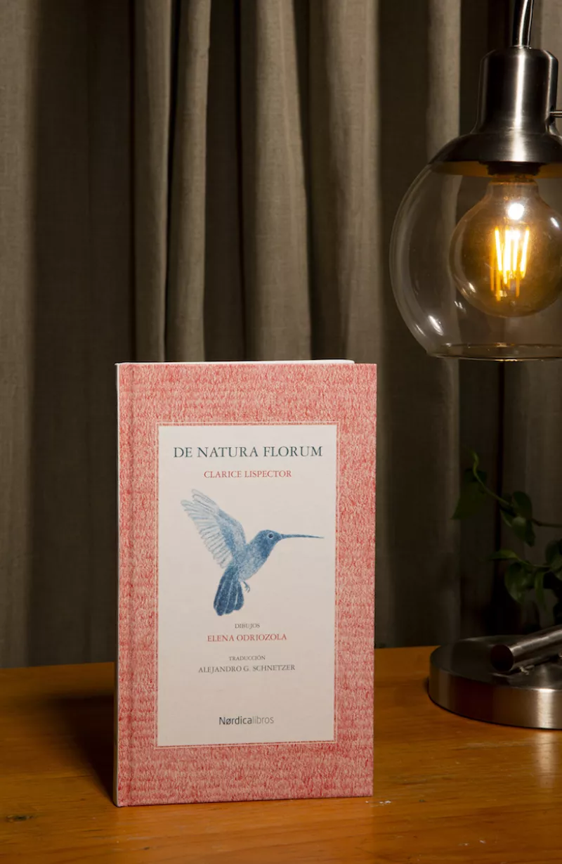QUI-LIBROS-110122-AHP_3.JPG
