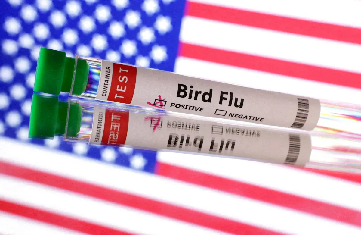 El tubo Fest se ve etiquetado como "Flue aviar" frente a la bandera de los Estados Unidos en esta ilustración tomada el 10 de junio de 2024.