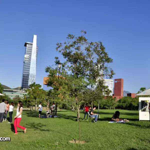 Artistas en el Parque Rufino Tamayo