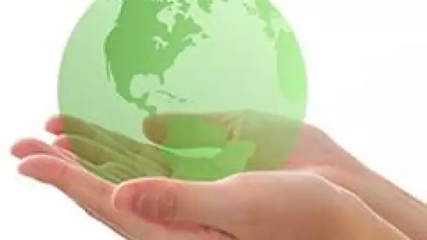 Mundo verde