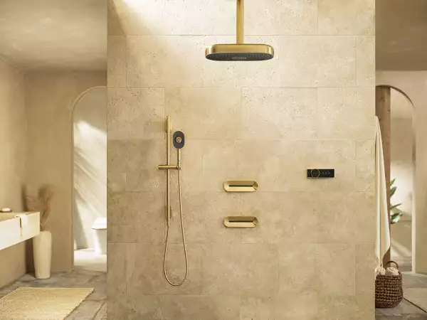 Kohler digital 02.jpg