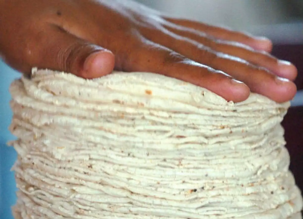 tortillas de ma�z