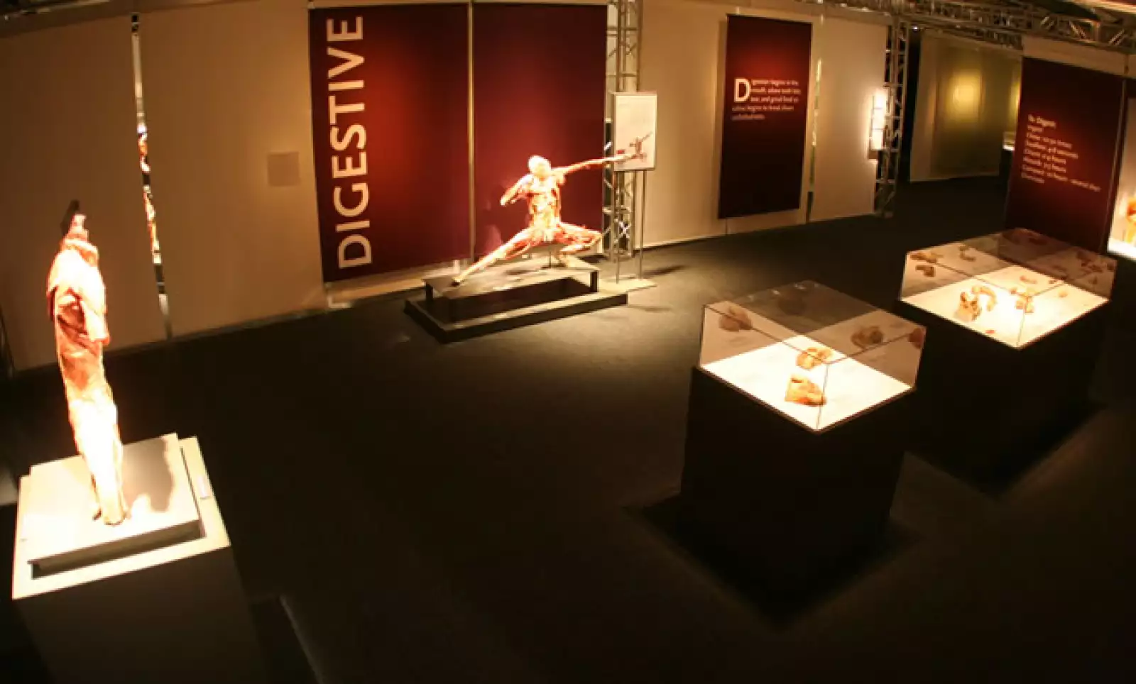 La exposición ‘Bodies Revelead’ se encuentra en el Foro Scotiabank, ubicado en la calle de Moliere #328, en la ciudad de México. Los boletos tienen un precio de 147 pesos para niños de 5 a 12 años y 166 pesos para el público en general.