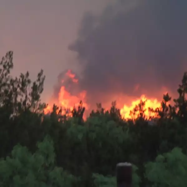 Texas - incendios forestales