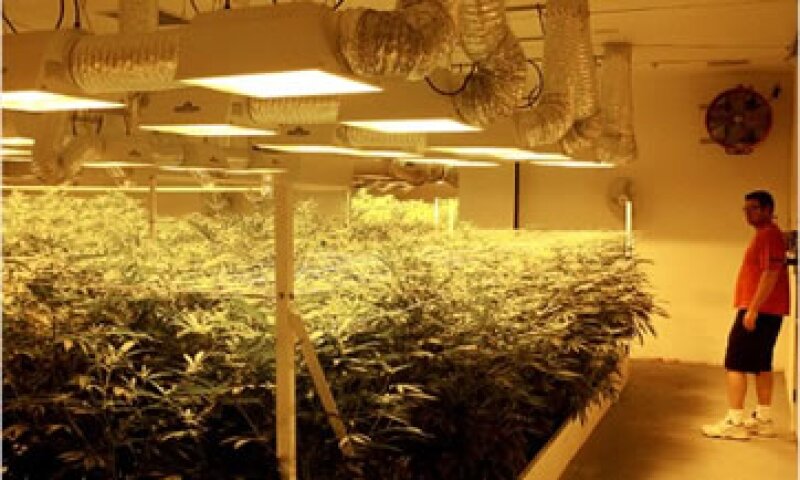 En 2011, los agentes policiales incautaron 3.9 millones de plantas de marihuana. (Foto: Cortesía CNNMoney.com)