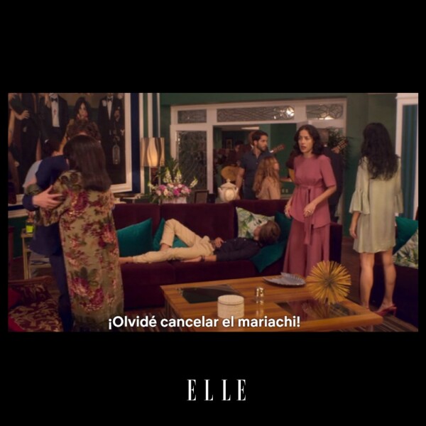 La-Casa-De-Las-Flores-Meme-ELLE-08