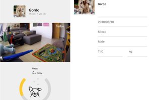 Look and Feel de Furbo