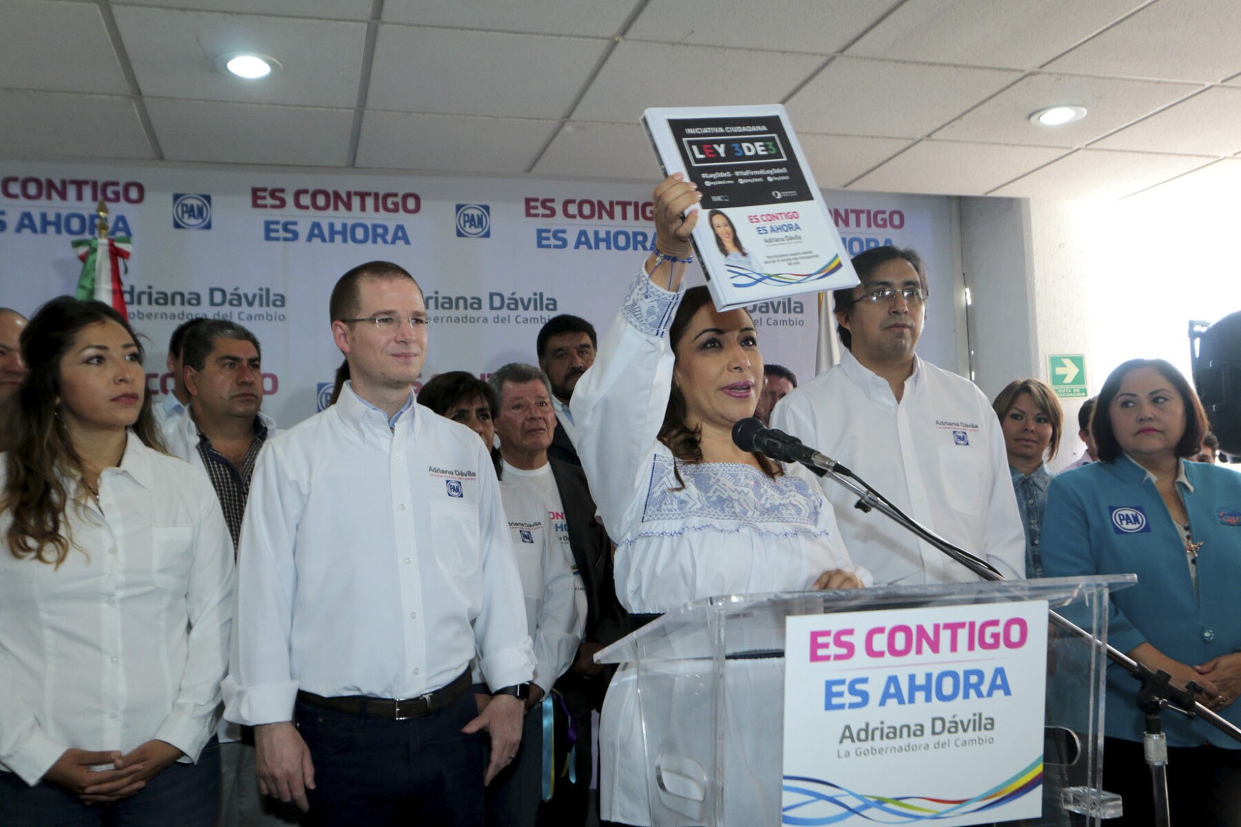 Partido Acción Nacional