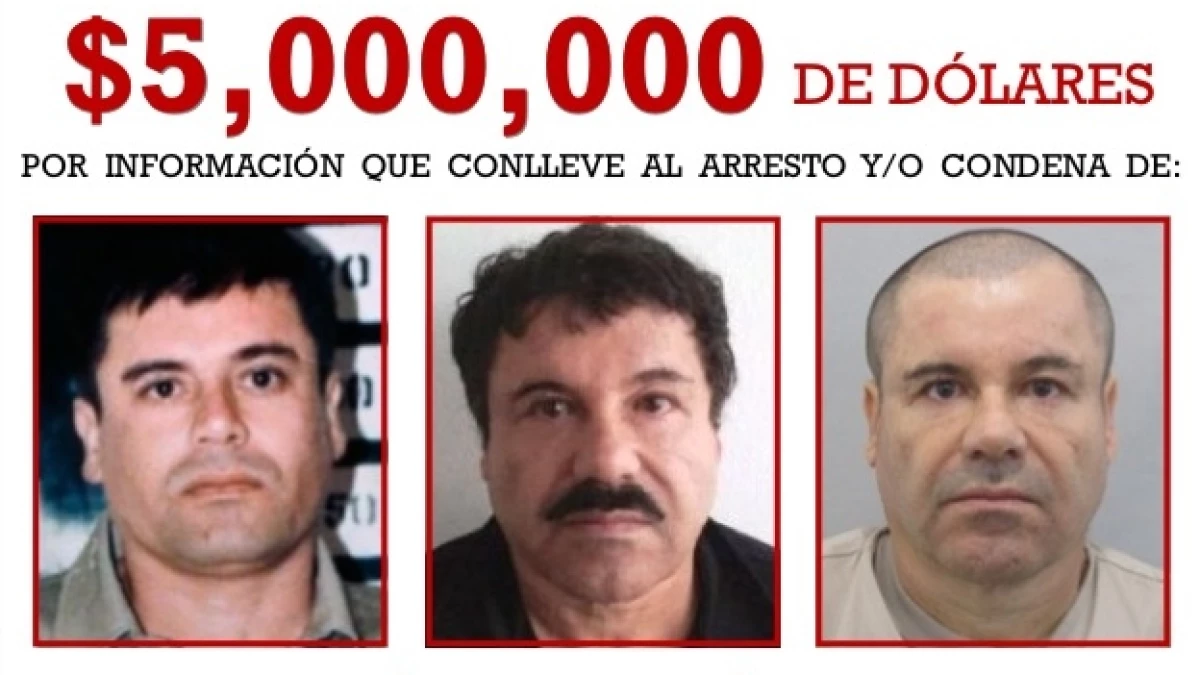 chapo_cartel