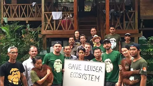 Las críticas del ganador del Oscar sobre la destrucción de los bosques tropicales hicieron que el gobierno de dicho país se molestara por su falta de información al respecto.