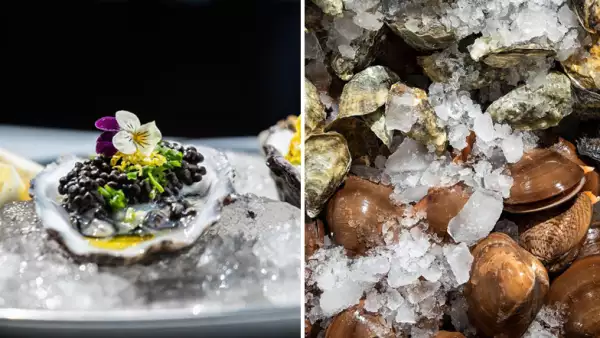 Restaurante Taller de ostiones by FISM en CDMX